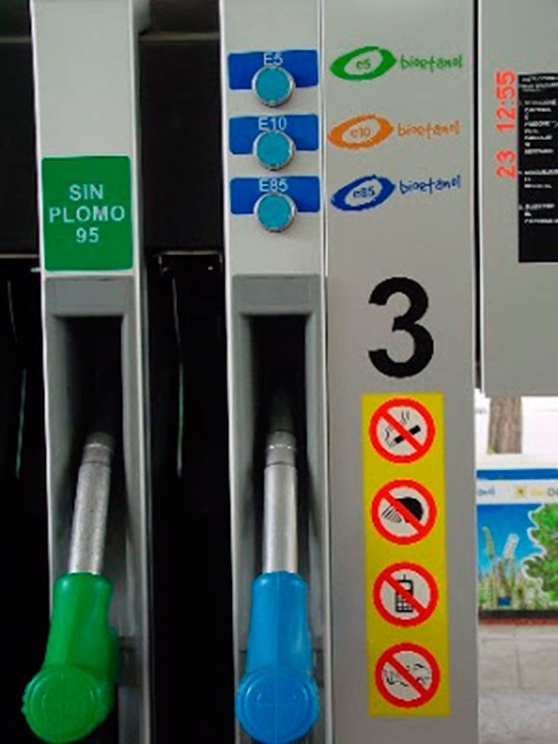 Algas, el combustible alternativo definitivo