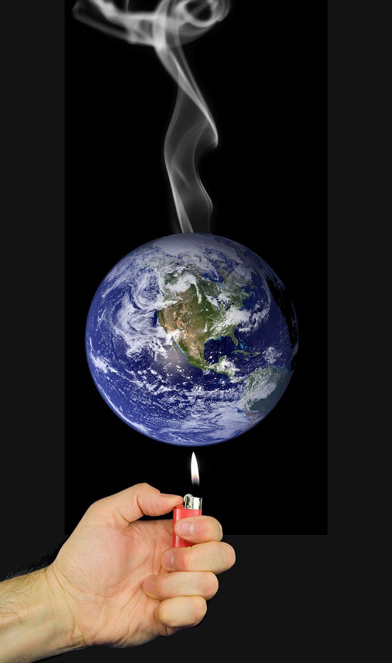 Algas, el combustible alternativo definitivo