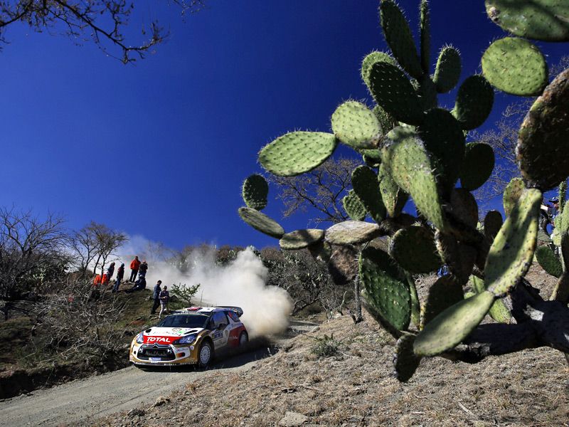 Rallye de México 2014 - Viernes