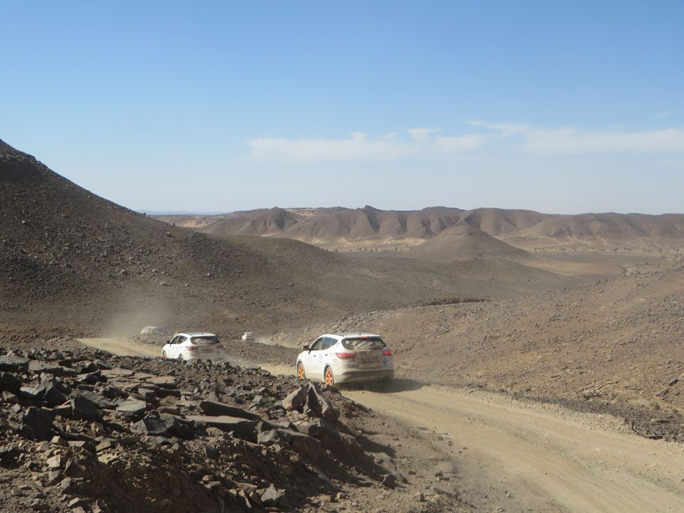 El Desierto de los Niños 2014