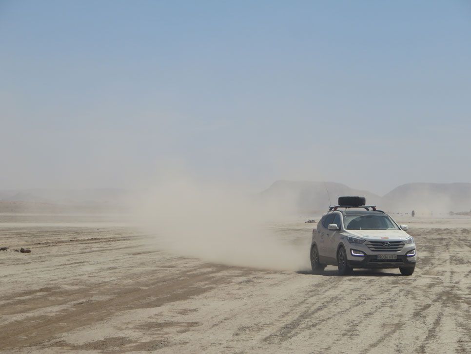 El Desierto de los Niños 2014
