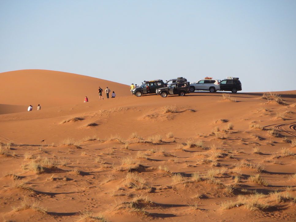 El Desierto de los Niños 2014