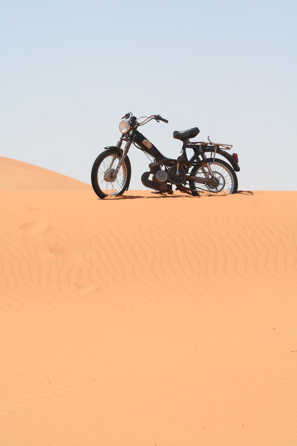 El Desierto de los Niños 2014