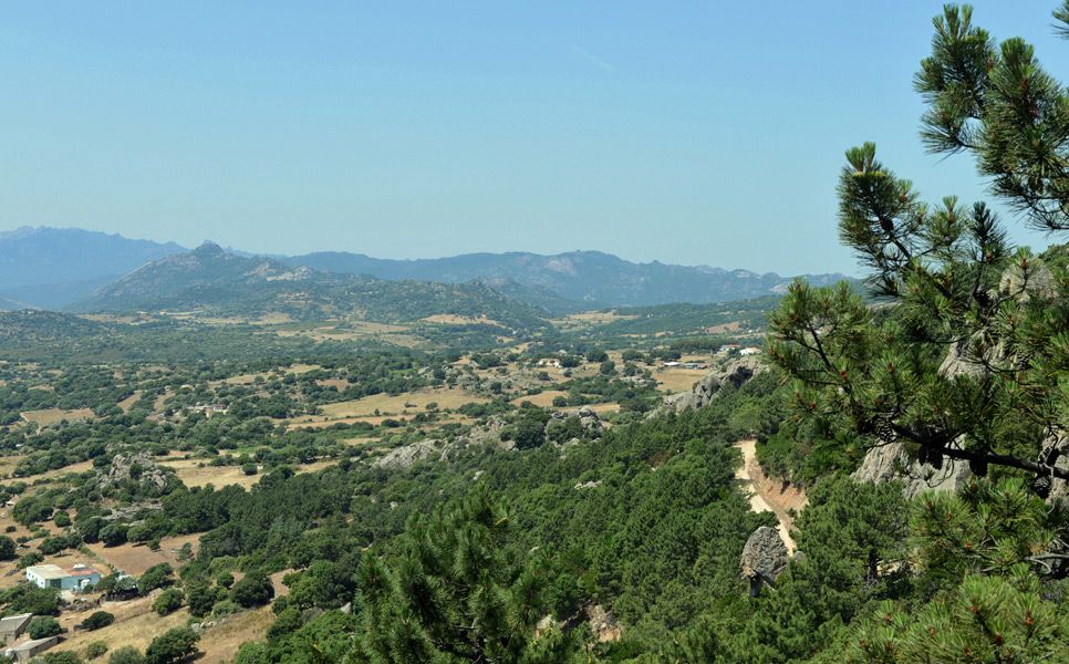 Rallye de Italia-Cerdeña: Previo