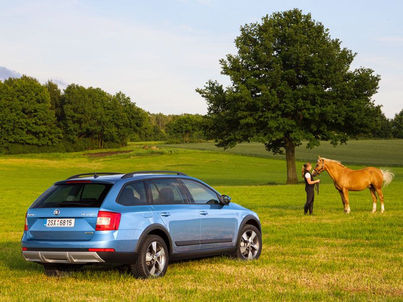 Contacto: Skoda Scout 2.0 TDI, chute de imagen