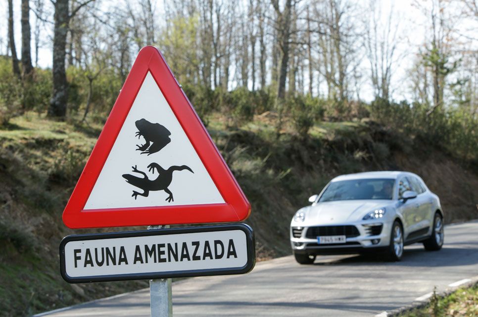 Prueba: Porsche Macan S