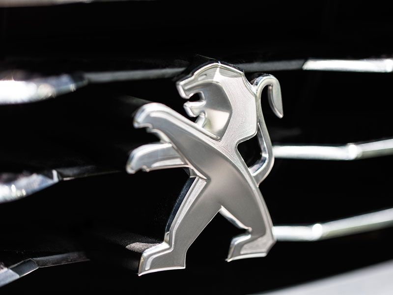 Peugeot Exalt, con piel de tiburón y con destino París