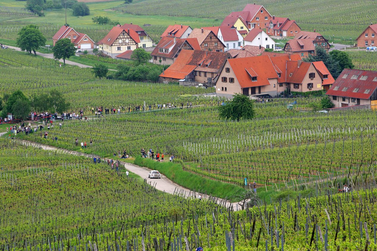 Rallye de Francia 2014