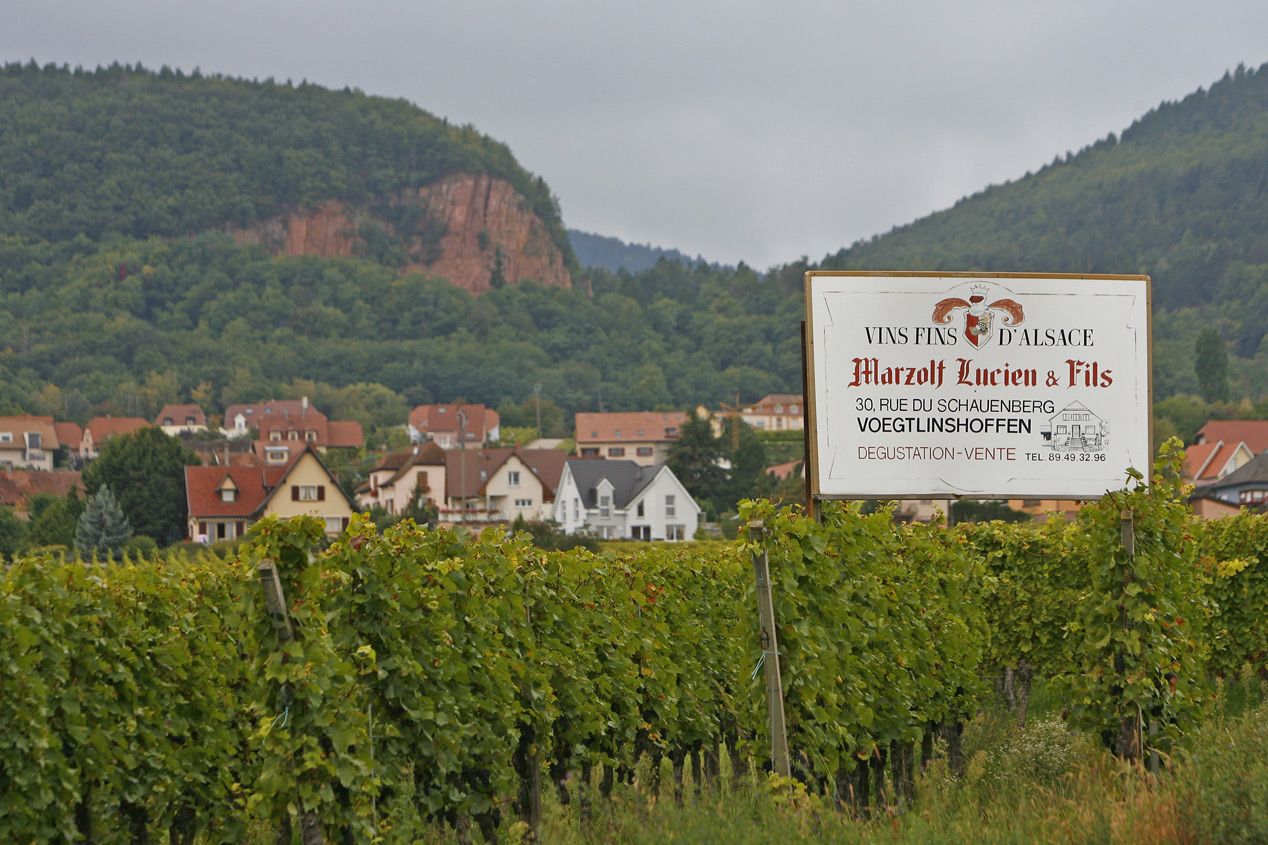 Rallye de Francia 2014