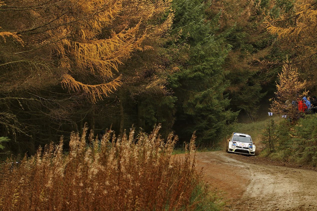 Rallye de Gales 2014