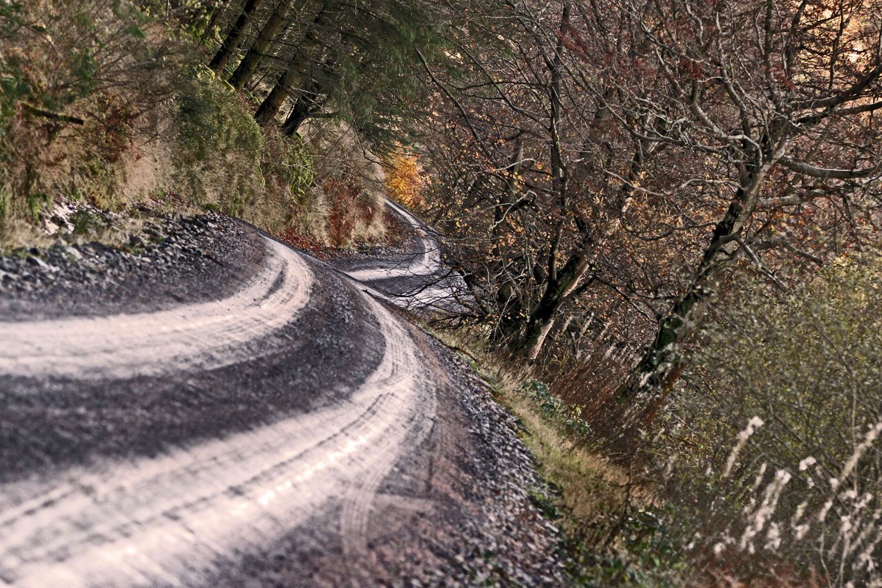 Rallye de Gales 2014