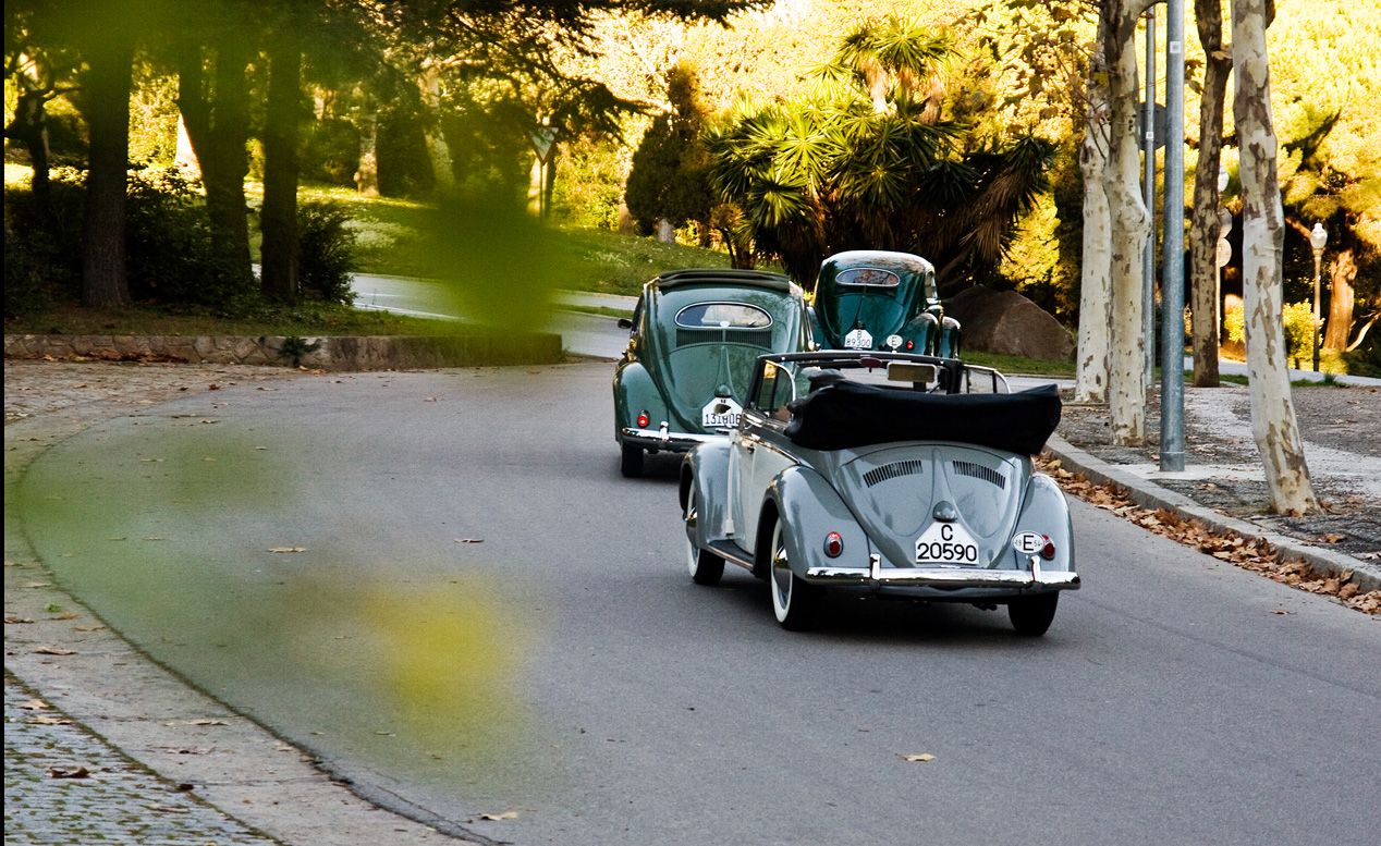 Volkswagen Sedán, Sunroof y Cabriolet: el momento del despegue