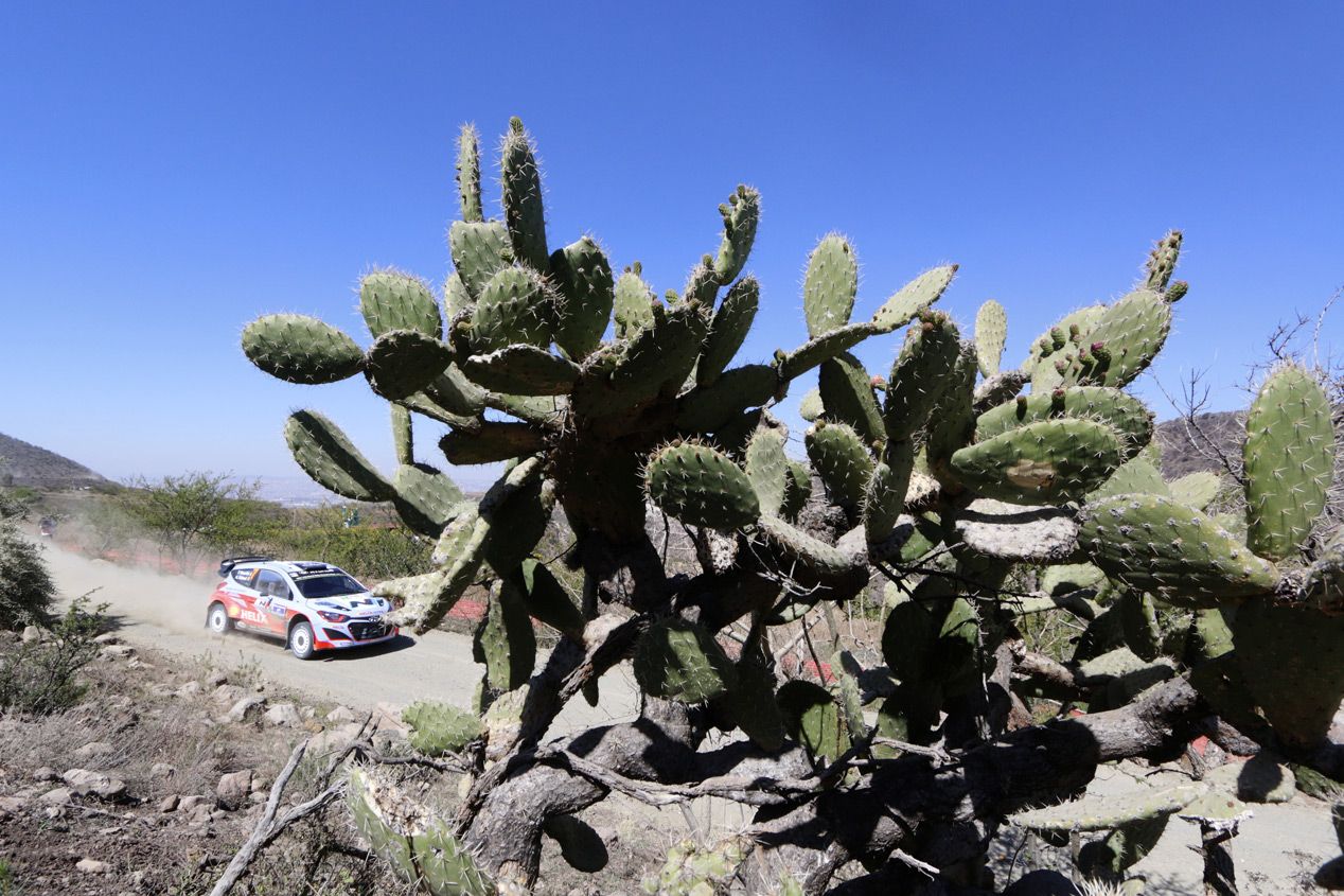 WRC Rallye de Mexico- Previo