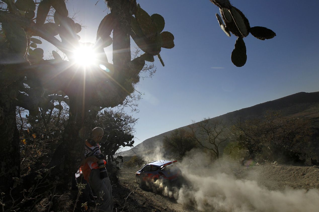 WRC Rallye de Mexico- Previo