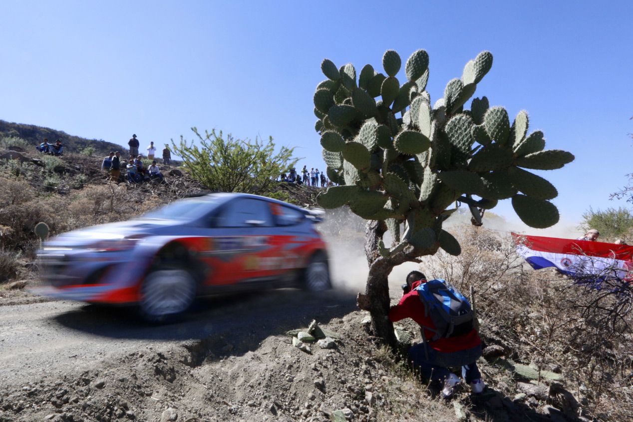 WRC Rallye de Mexico- Previo
