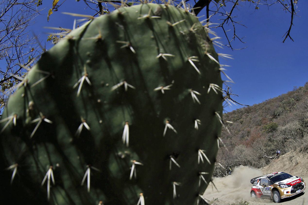WRC Rallye de Mexico- Previo
