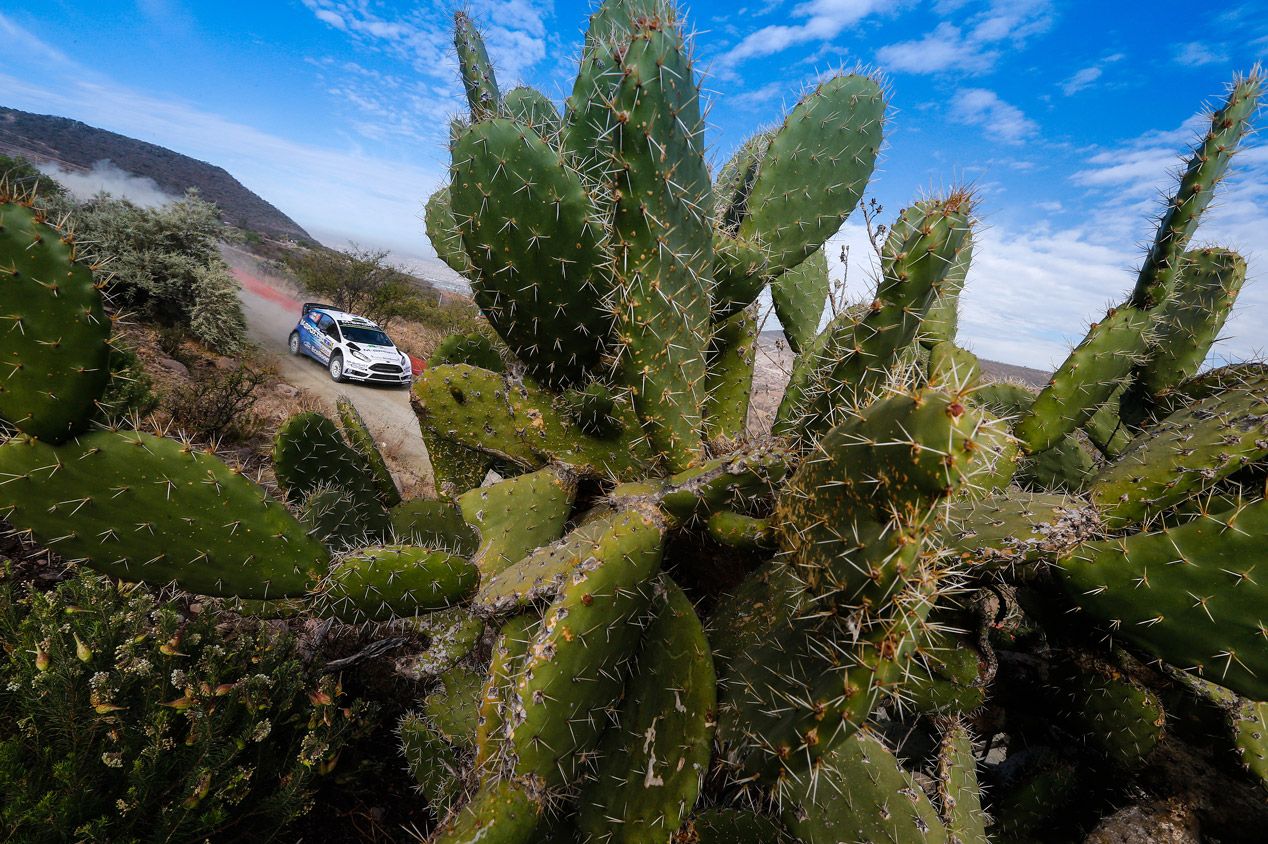 Rallye de México 2015: final