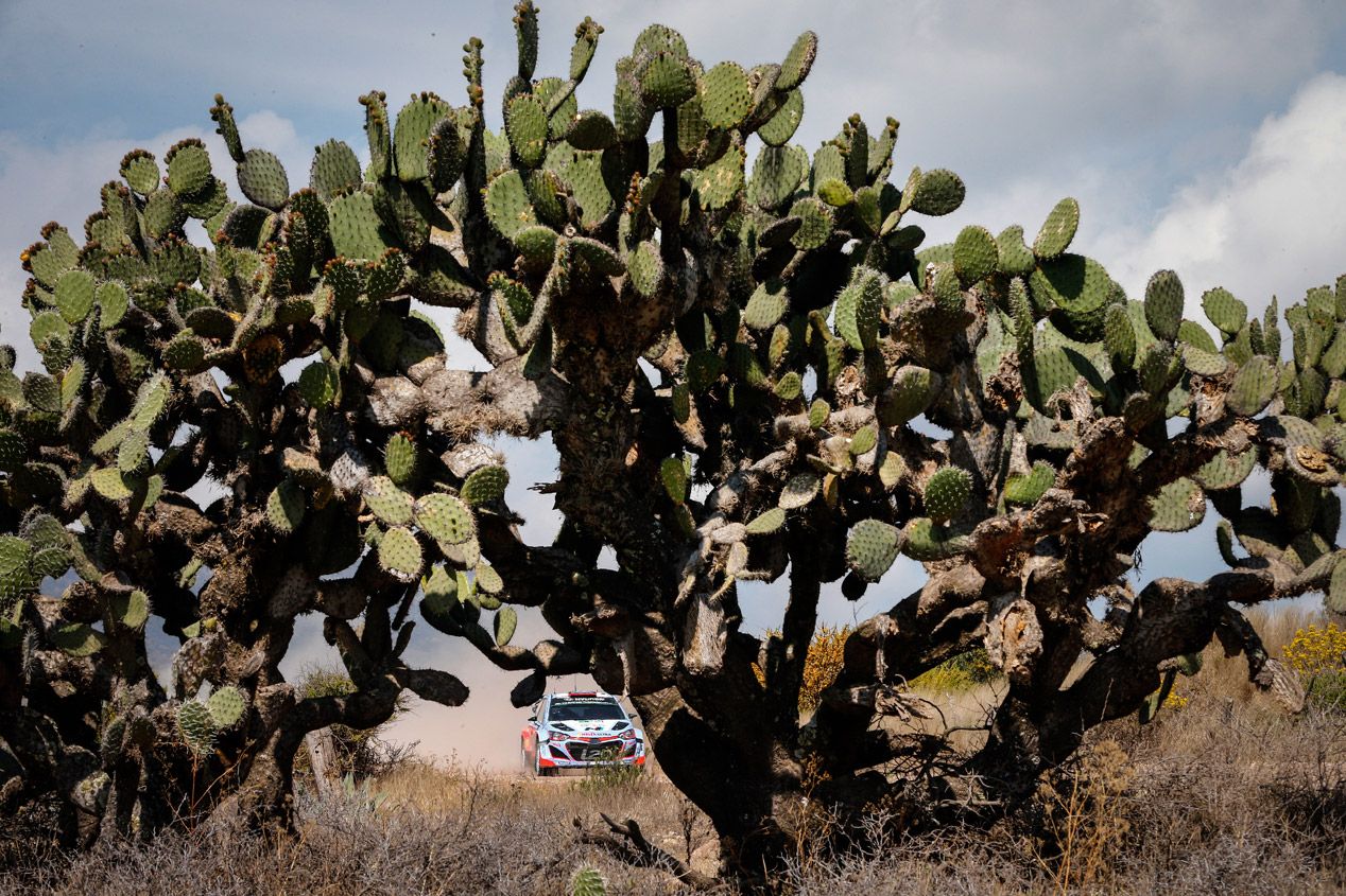 Rallye de México 2015: final