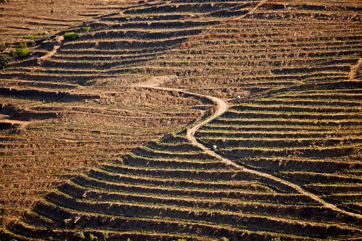 Ciientíficamente, la mejor carretera del mundo