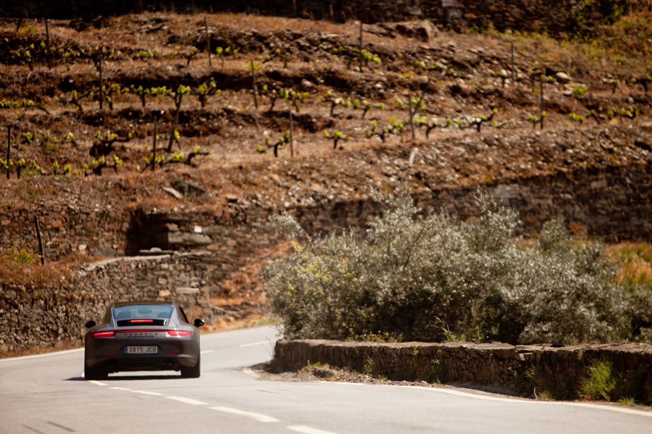Ciientíficamente, la mejor carretera del mundo