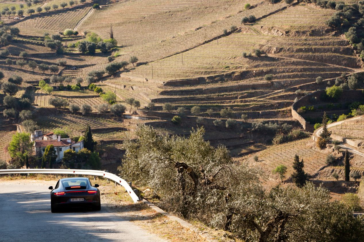 Ciientíficamente, la mejor carretera del mundo
