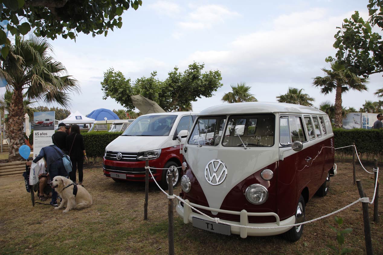 Concentración Furgovolkswagen 2015