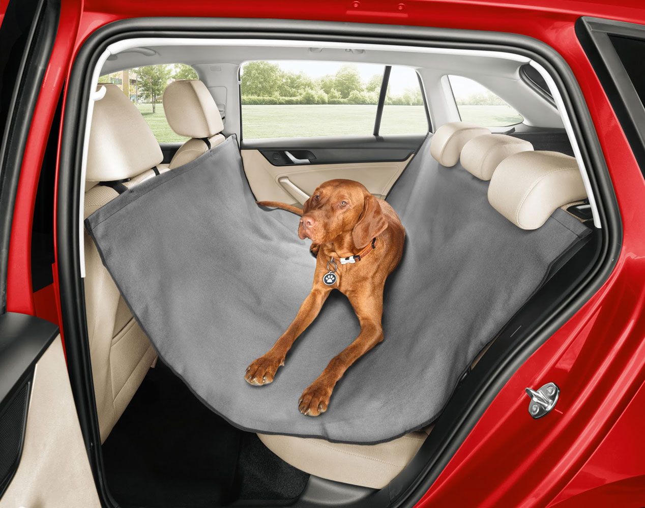 Tu perro seguro y como un rey con Skoda