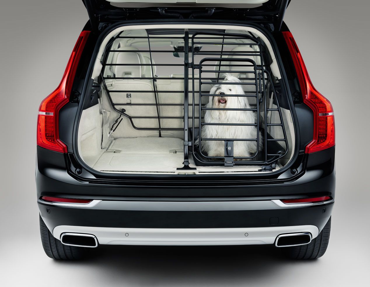 Soluciones para viajar en el coche con tu perro