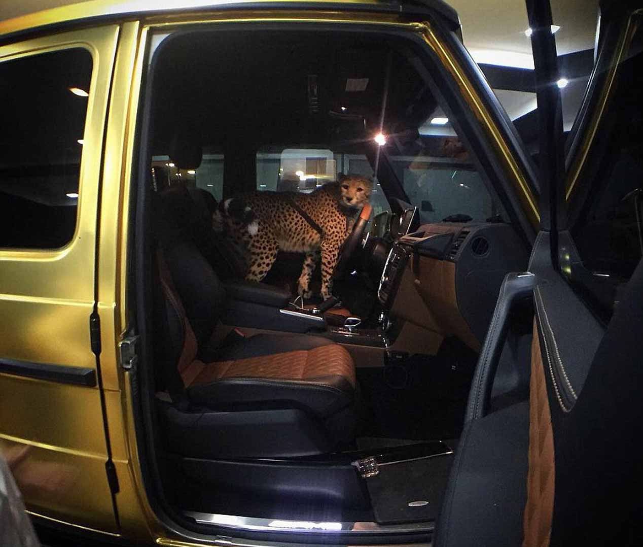 Los coches de oro del multimillonario Turki bin Abdullah