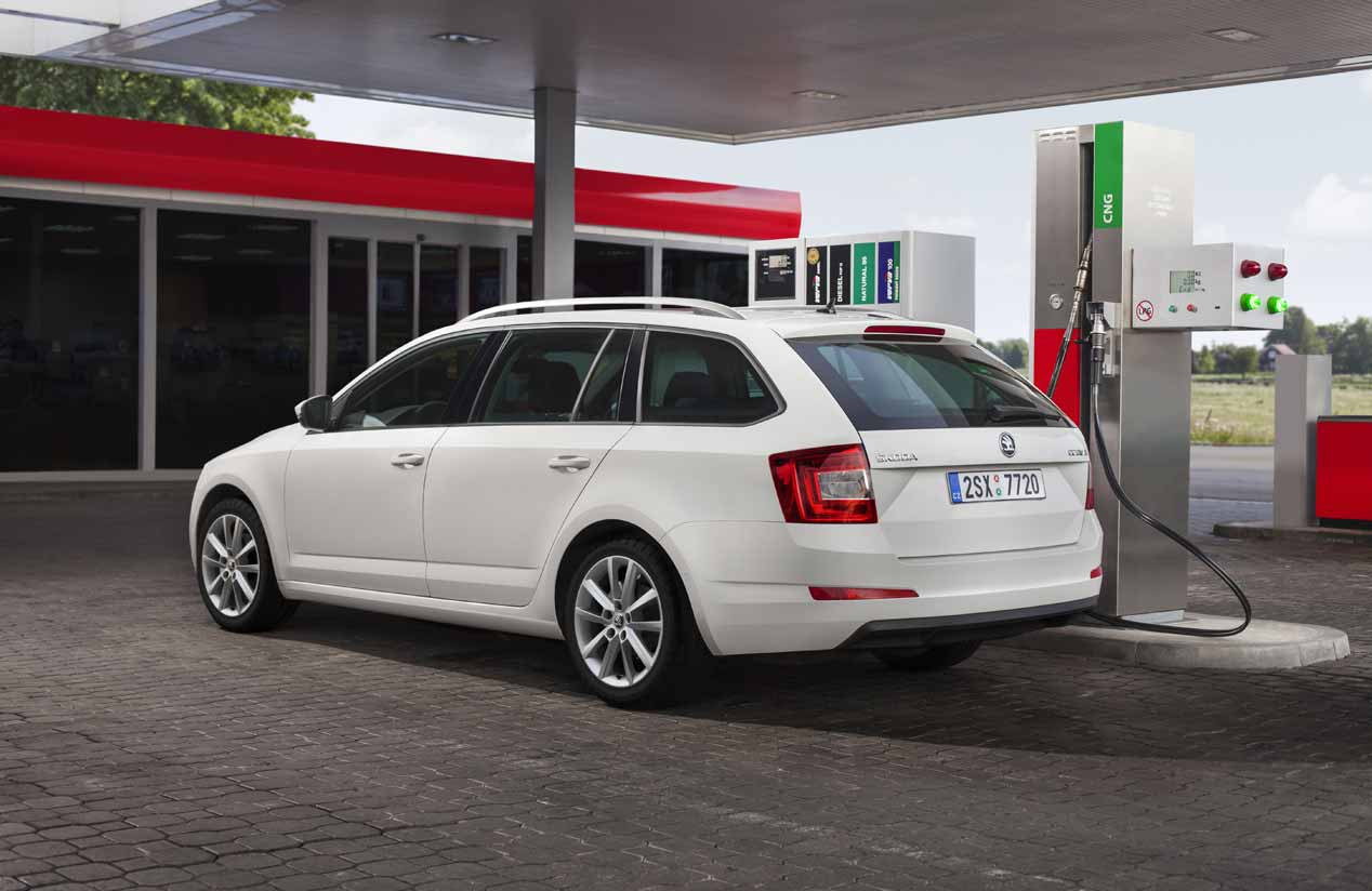 Los 20 años del Skoda Octavia, en imágenes