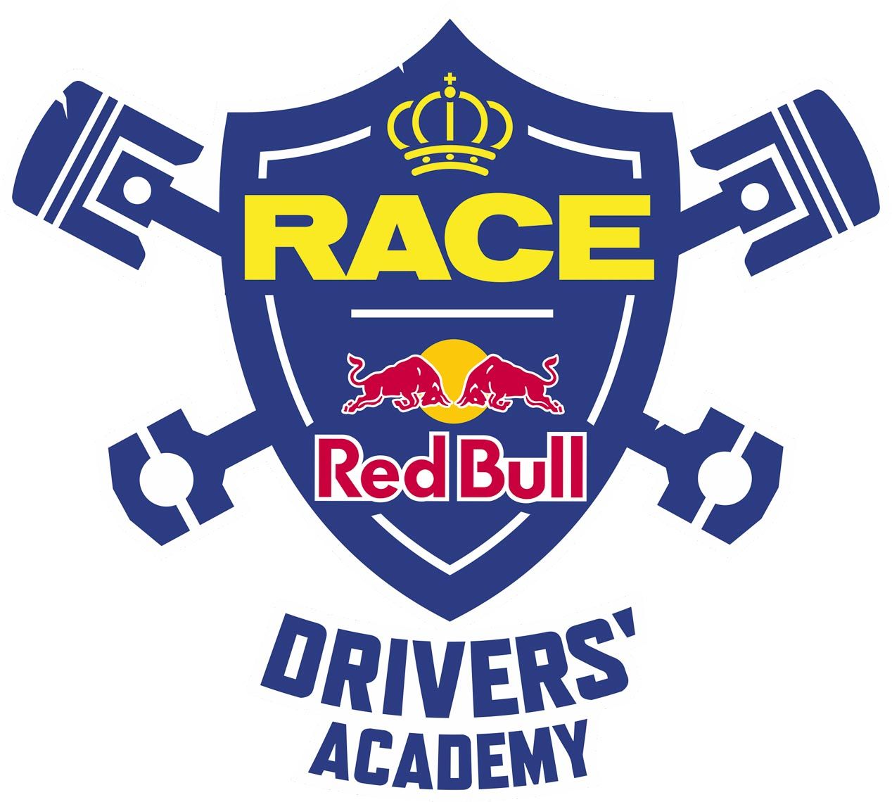 Cursos para mejorar la conducción Academy RACE-Red Bull