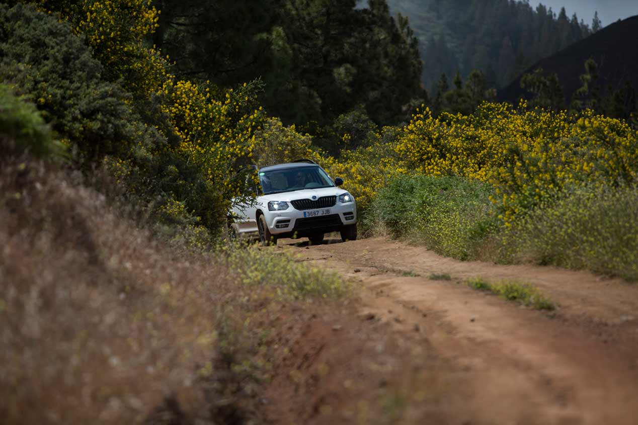 Los coches 4x4 de Skoda: Scout, Octavia, futuro Kodiaq...