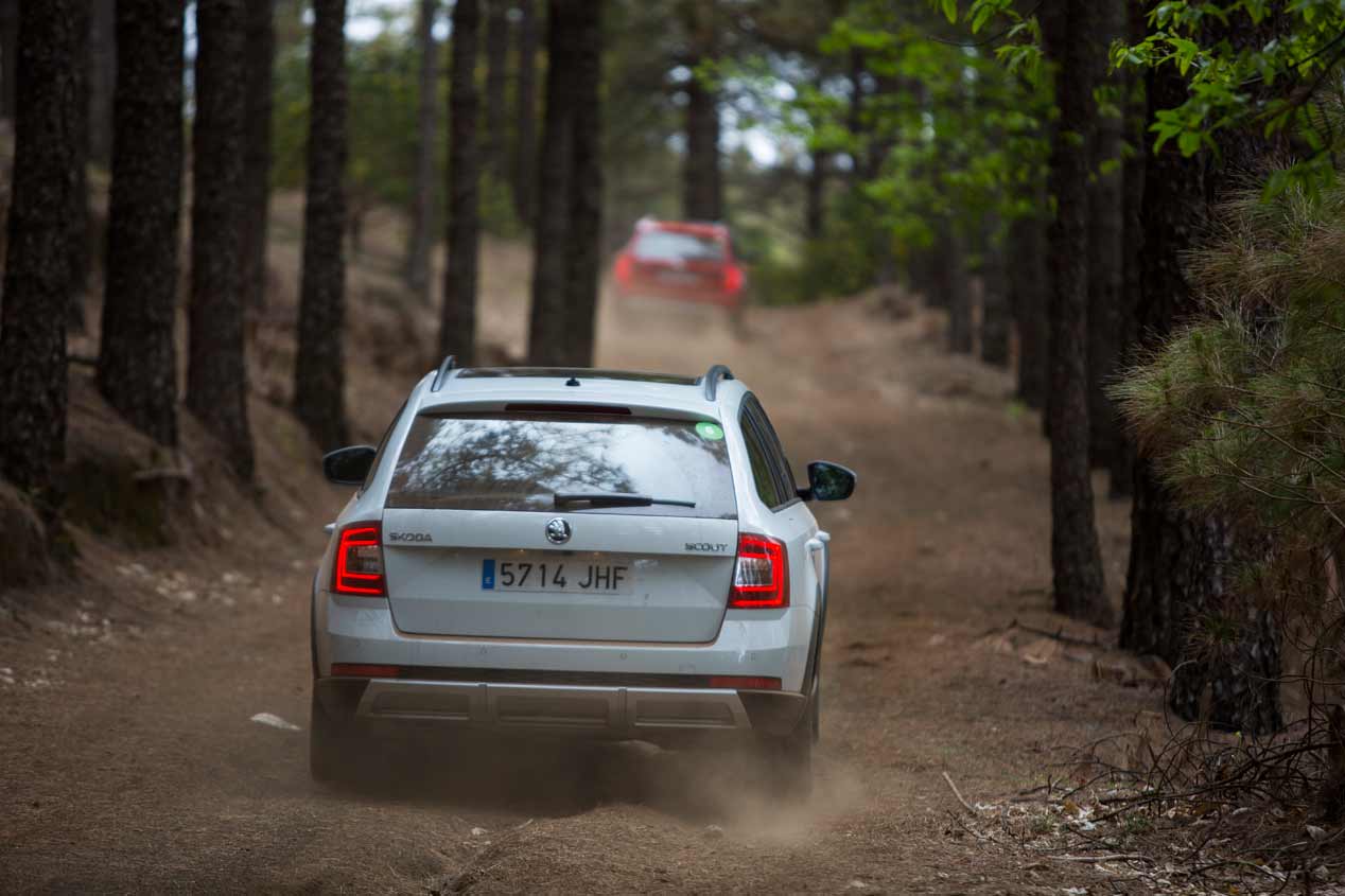 Los coches 4x4 de Skoda: Scout, Octavia, futuro Kodiaq...