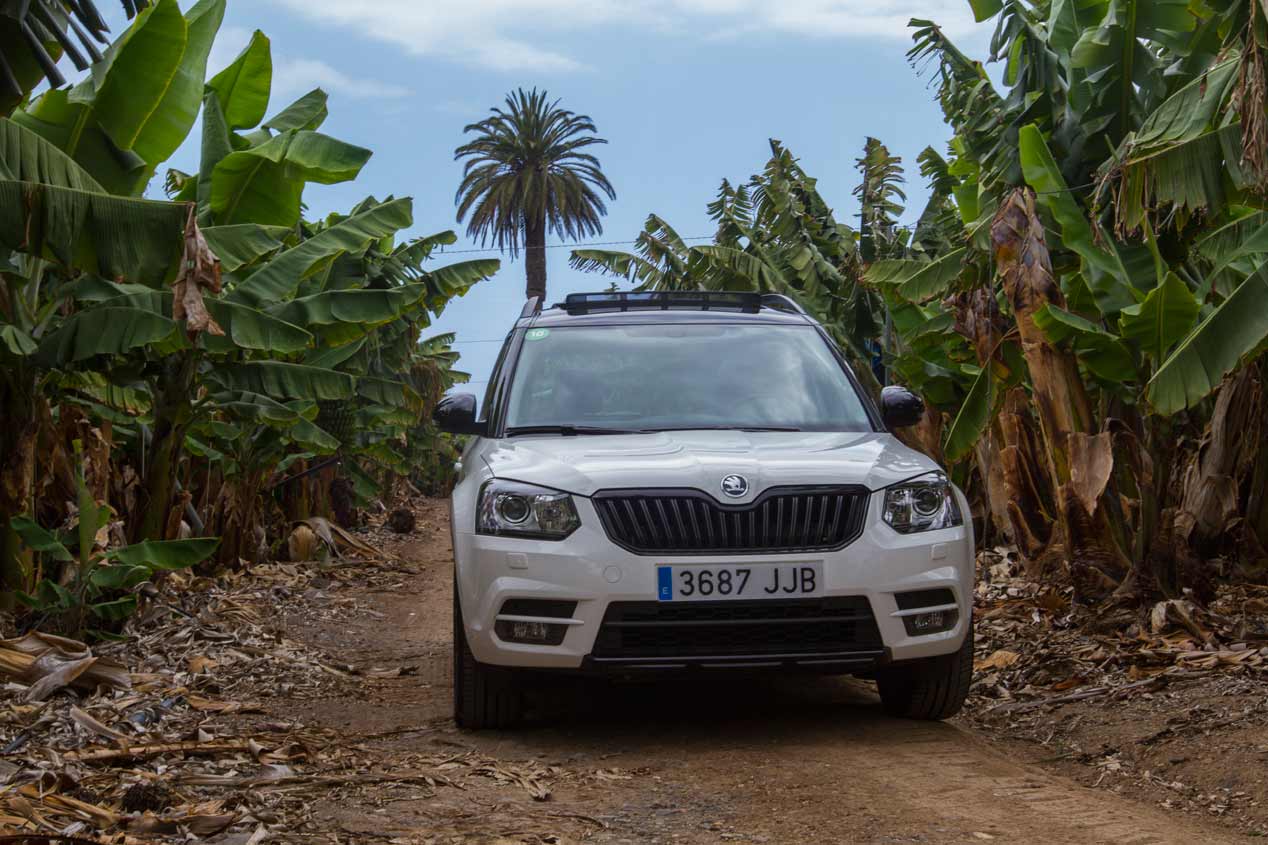 Los coches 4x4 de Skoda: Scout, Octavia, futuro Kodiaq...