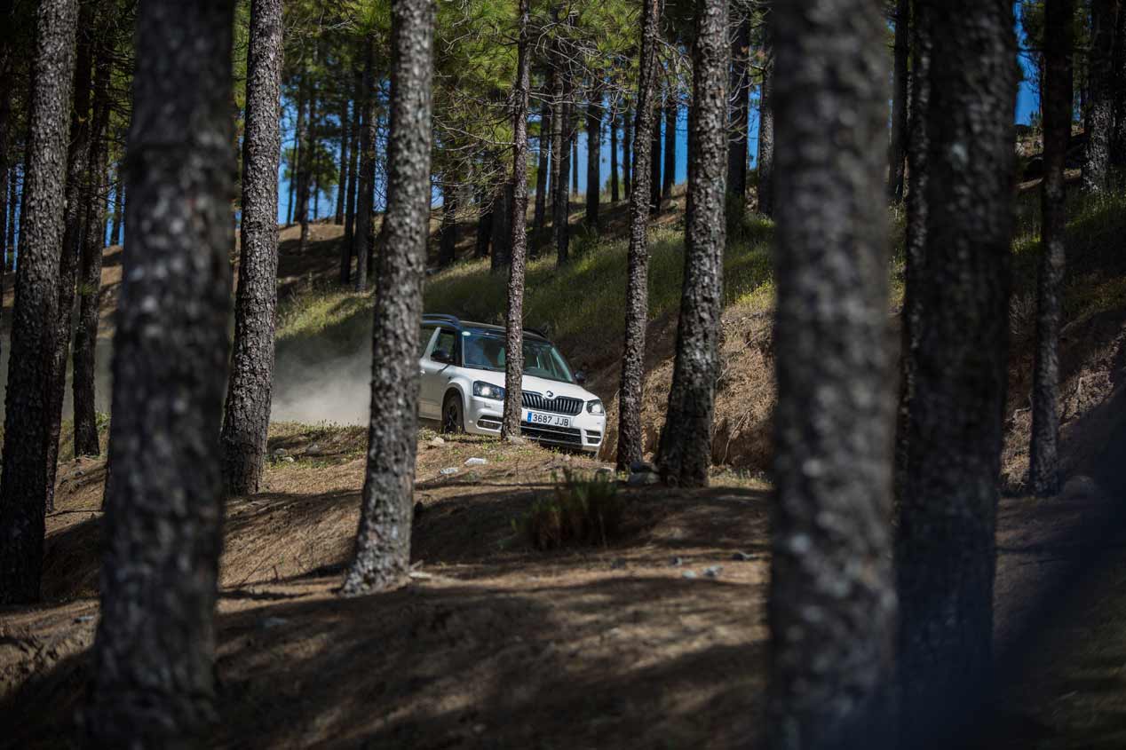 Los coches 4x4 de Skoda: Scout, Octavia, futuro Kodiaq...