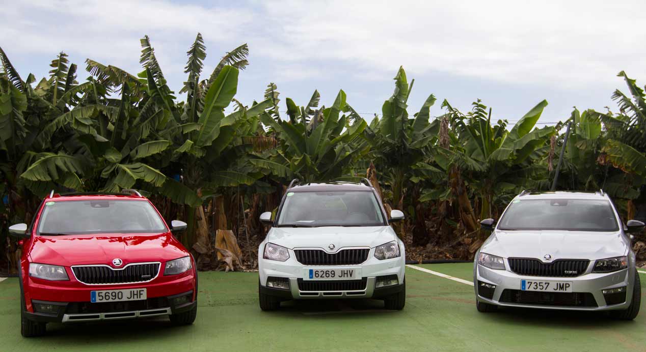 Los coches 4x4 de Skoda: Scout, Octavia, futuro Kodiaq...