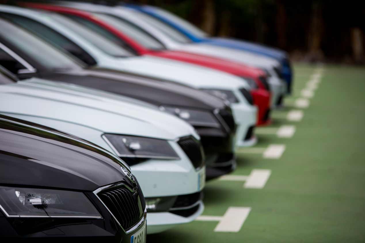 Los coches 4x4 de Skoda: Scout, Octavia, futuro Kodiaq...