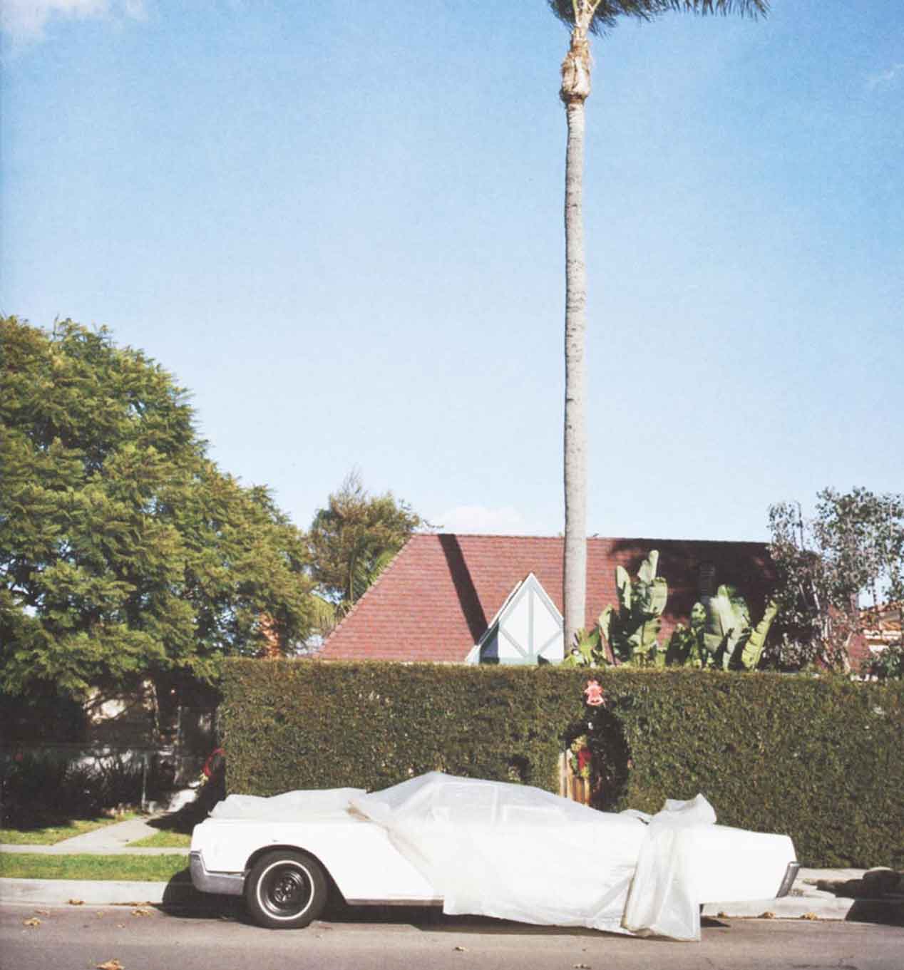 El fotógrafo de los coches tapados