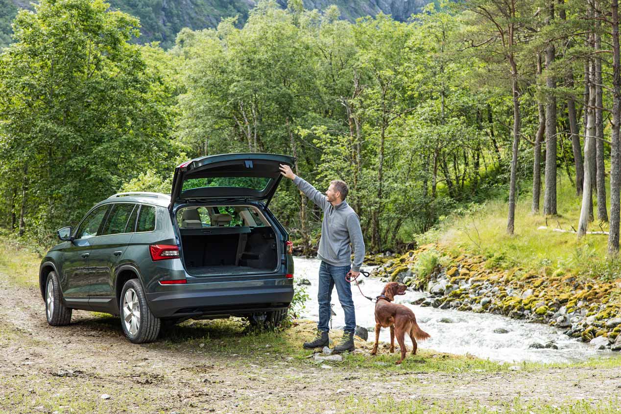 Todas las fotos del nuevo Skoda Kodiaq