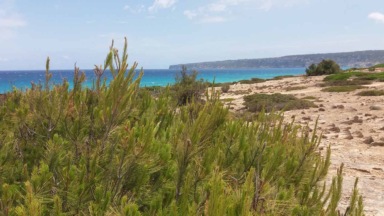 Con el nuevo Citroën e-Mehari por la isla de Formentera