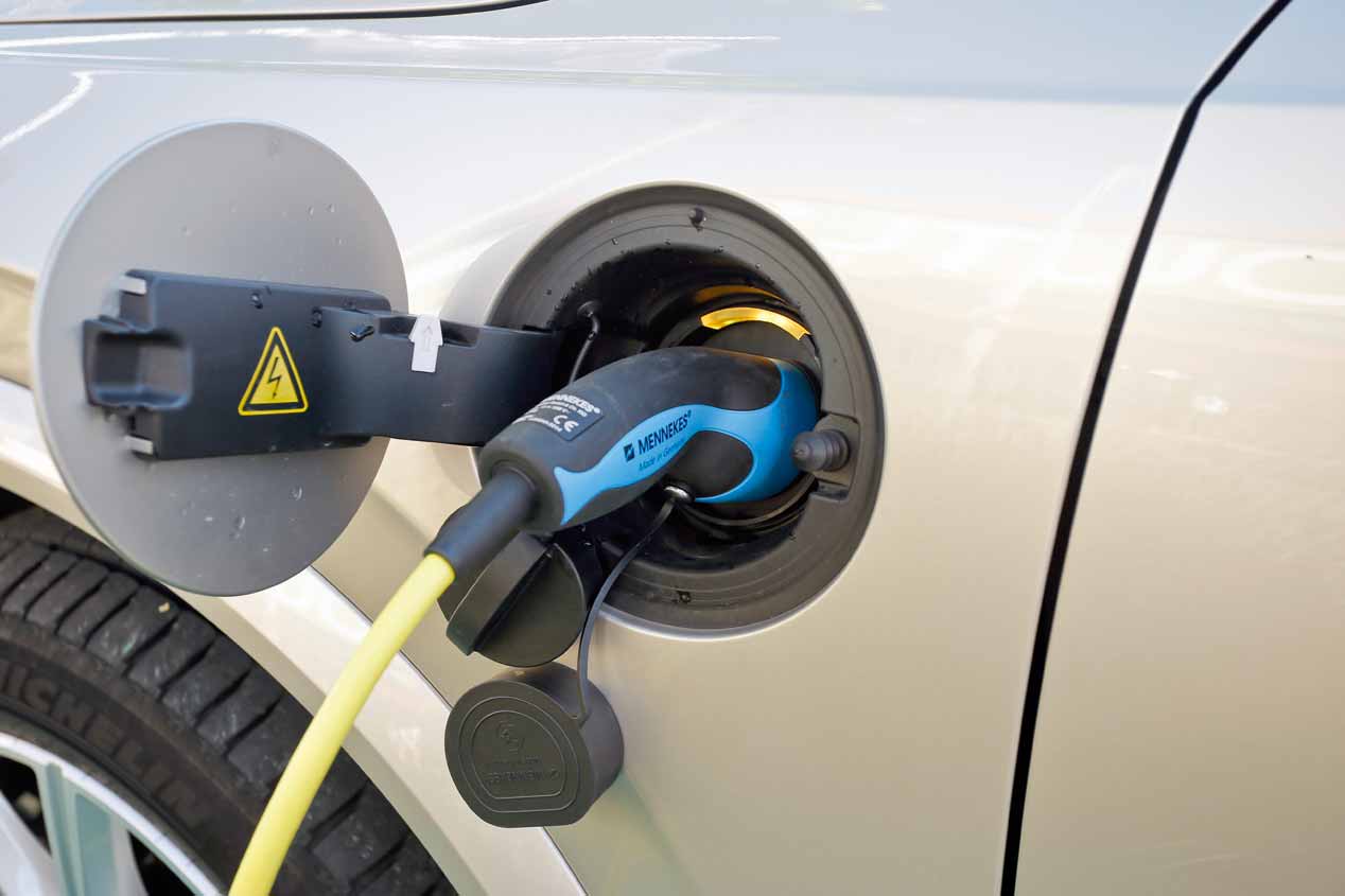 Revista Autopista 2974: contenidos principales, en imágenes