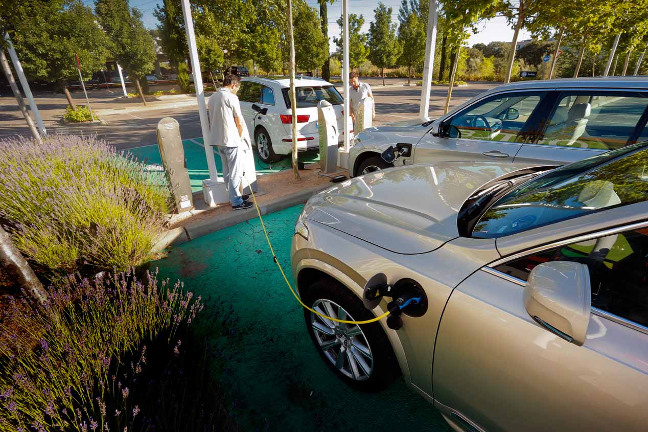 Revista Autopista 2974: contenidos principales, en imágenes