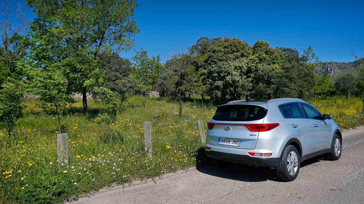 Duelo SUV Kia Niro – Kia Sportage: qué me conviene ¿Hibrido o Diesel?