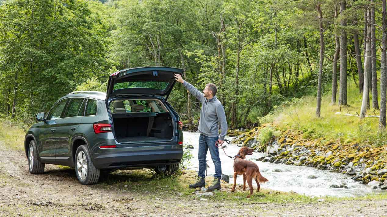 Peugeot 5008, Renault Koleos y Skoda Kodiaq, ¿existe el SUV perfecto?