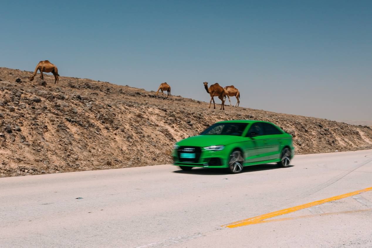 Nuevo Audi RS 3: lo probamos en versión Sportback y Sedan