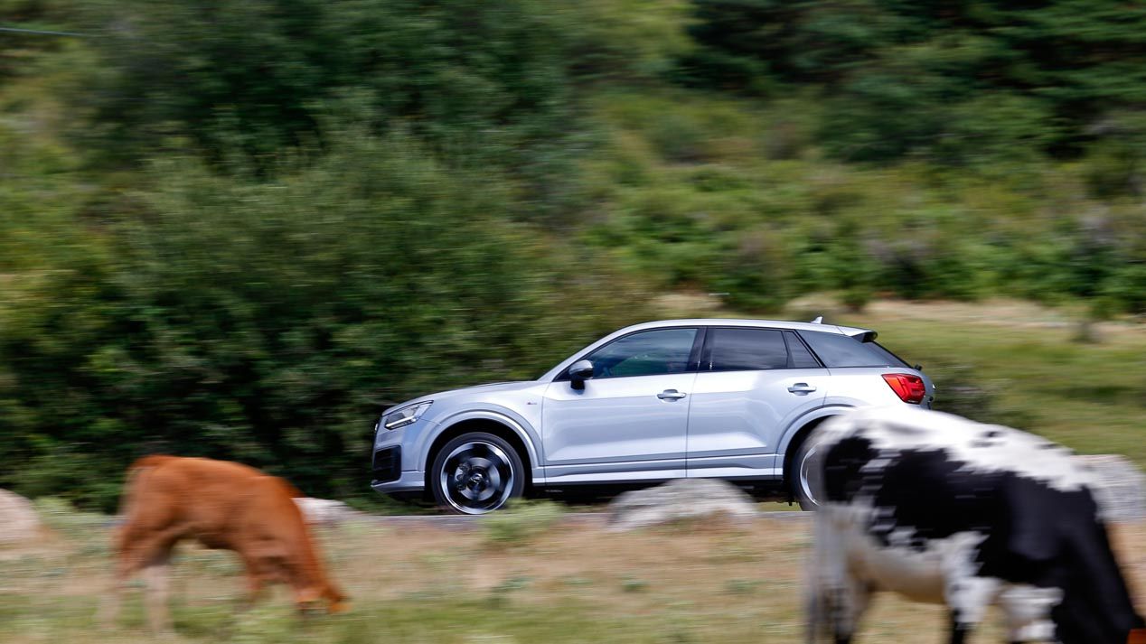 Comparativa: Toyota C-HR vs Audi Q2