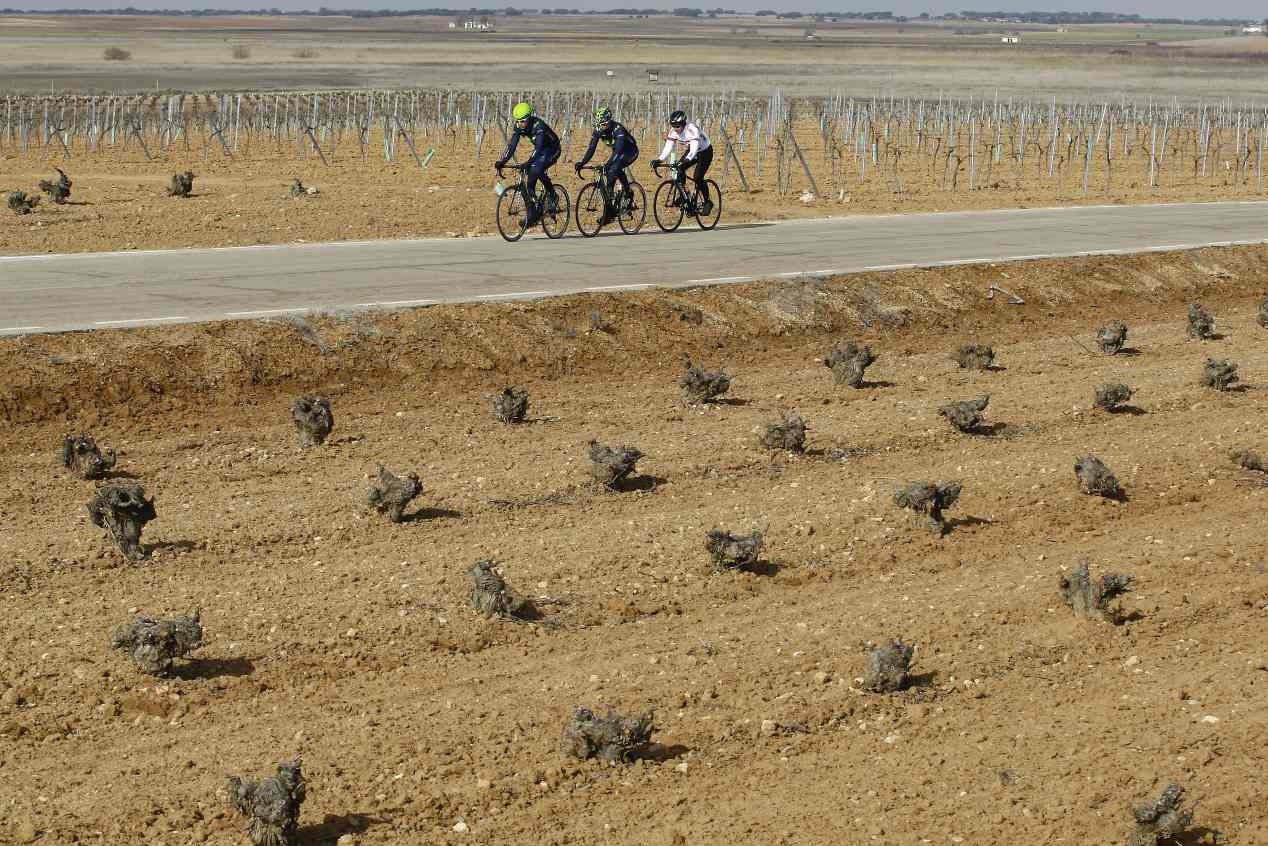 Sentido común y los mejores 15 consejos para la convivencia entre conductores y ciclistas