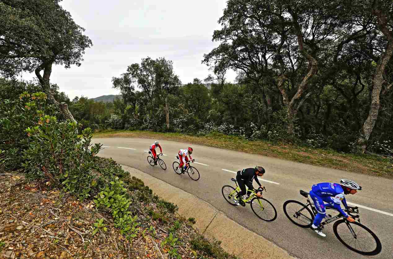 Sentido común y los mejores 15 consejos para la convivencia entre conductores y ciclistas
