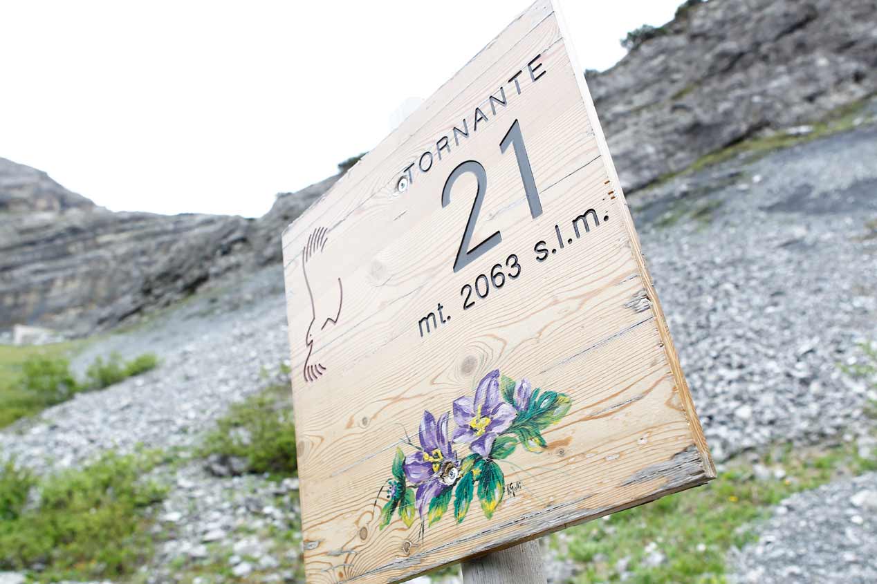 El puerto Passo dello Stelvio, en coche