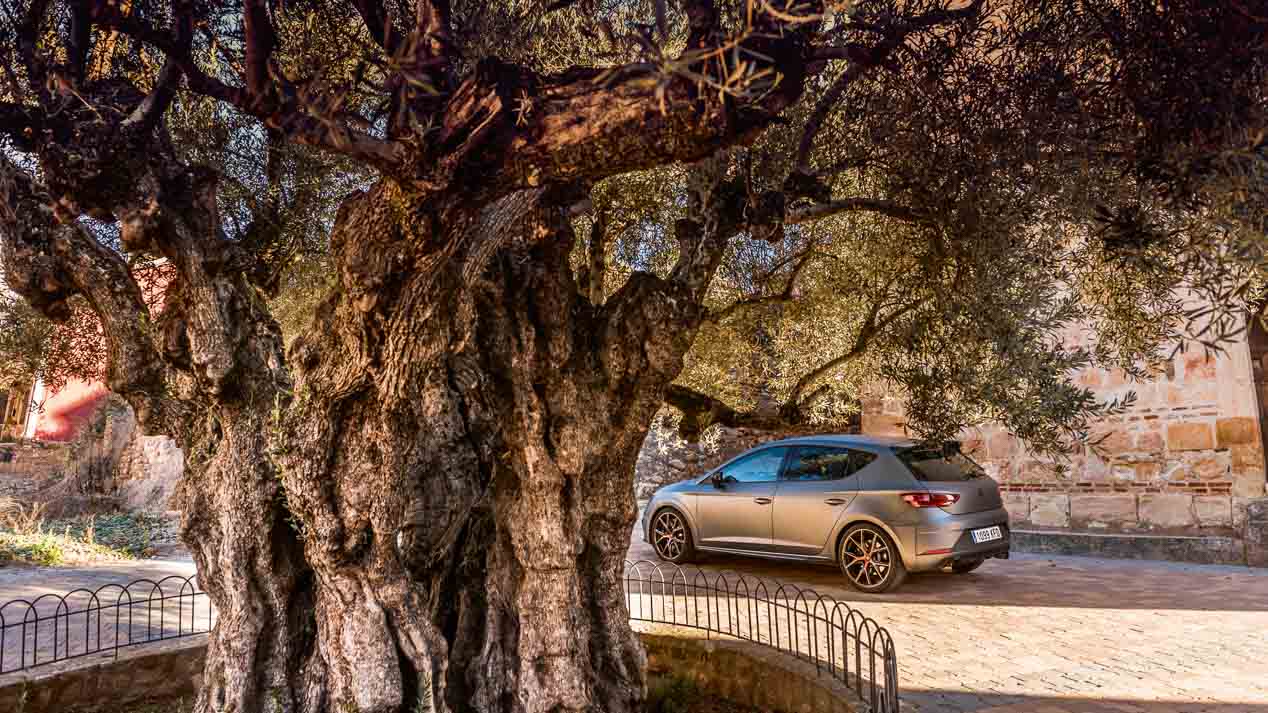 Comparamos el Seat León Cupra R y el Hyundai i30 N
